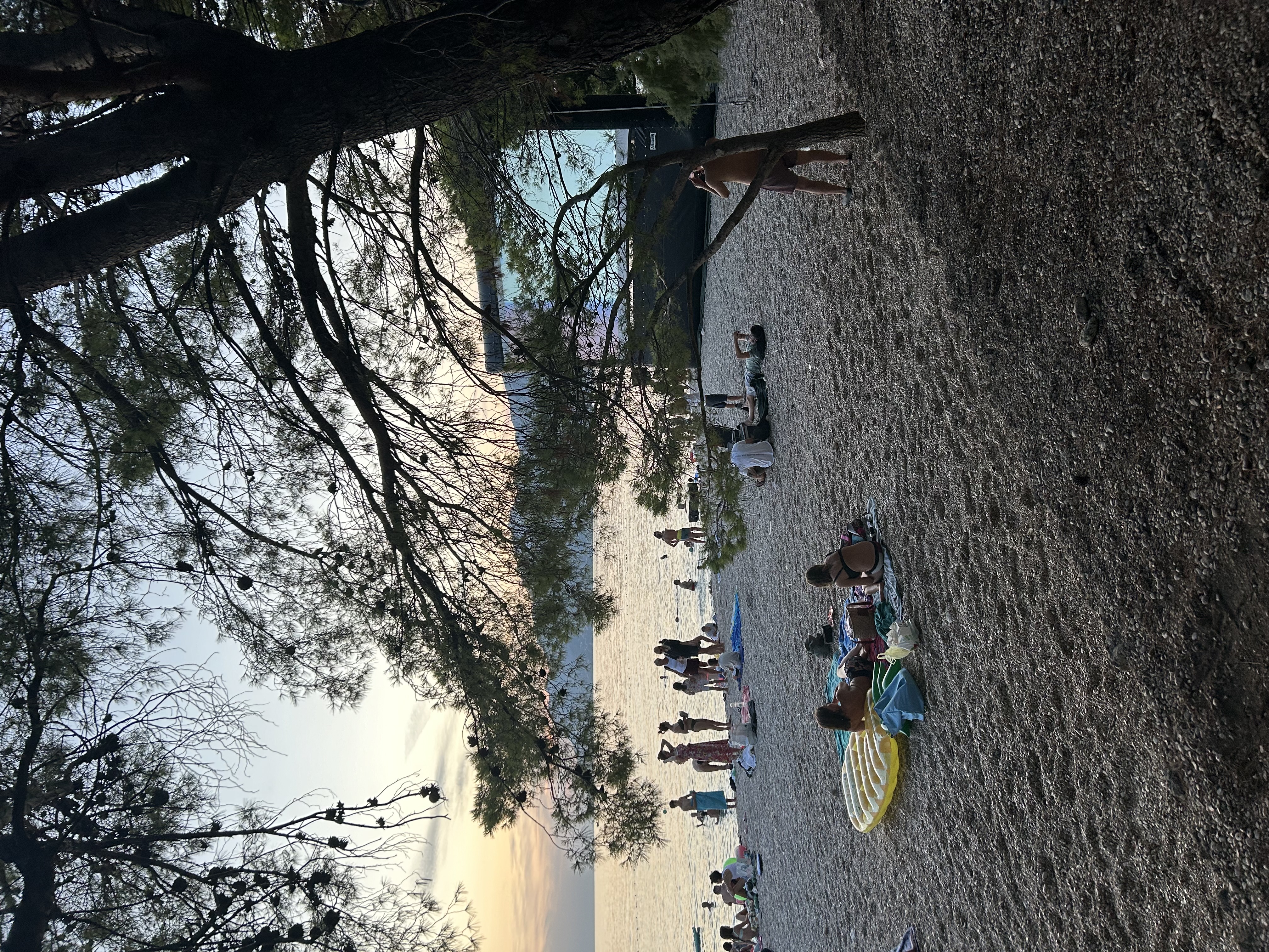 Punta Rata Beach Guide: Croatia's Forbes-Awarded Adriatic Gem in Brela — 2